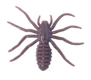 Le Gobeleur Araignée 3.5cm (Arachnide)