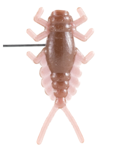 Le Gobeleur Larve Ephémère 2cm (Ephémèroptère)