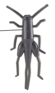 Le Gobeleur Sauterelle 3.5cm (Orthoptère)
